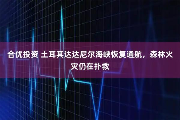 合优投资 土耳其达达尼尔海峡恢复通航，森林火灾仍在扑救