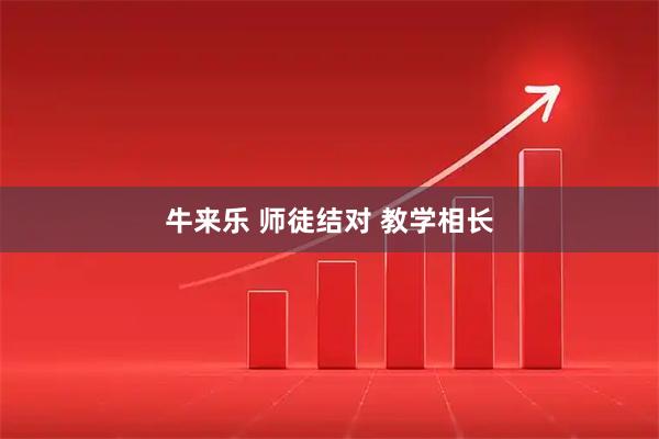 牛来乐 师徒结对 教学相长