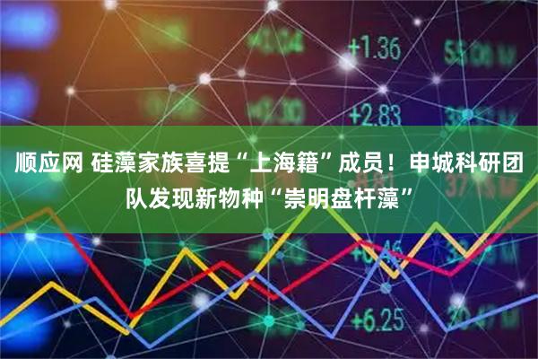 顺应网 硅藻家族喜提“上海籍”成员！申城科研团队发现新物种“崇明盘杆藻”