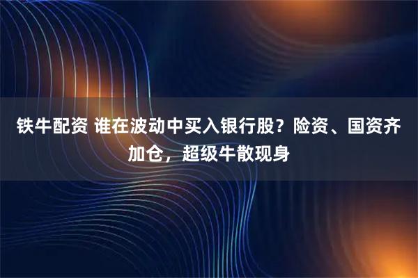 铁牛配资 谁在波动中买入银行股？险资、国资齐加仓，超级牛散现身