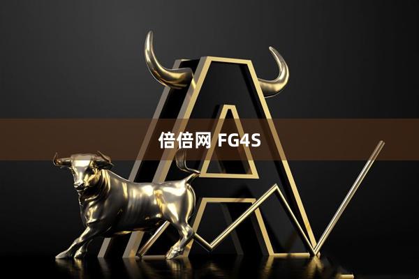 倍倍网 FG4S