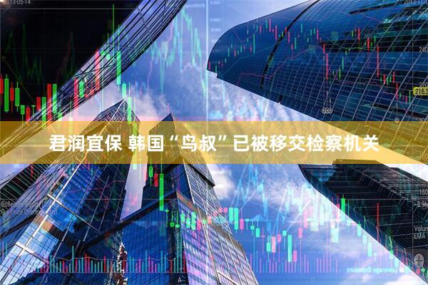 君润宜保 韩国“鸟叔”已被移交检察机关