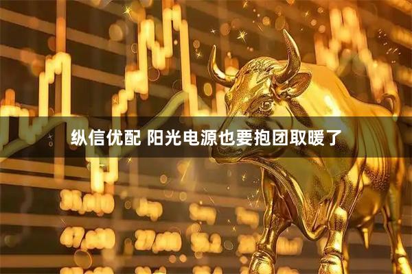纵信优配 阳光电源也要抱团取暖了
